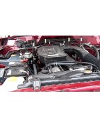 4,2 L6 D 123CV (TD42)