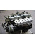 4,2 L6 D 125CV (TD422)