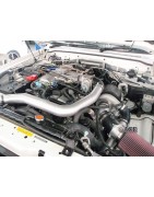 4,8 L6 i 251CV (TB48DE)