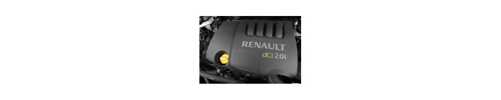 2,0 L4 dCi 150CV (M9R)