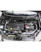 2,0 L4 dCi 173CV (M9R)