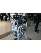 2,0 L4 Inj 143CV (MR20DD)