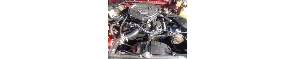 3,0 V6 Inj 140CV (VG30i)