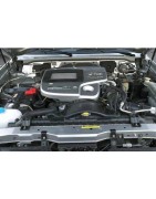 3,0 L4 Di 170CV (ZD30DDTi)