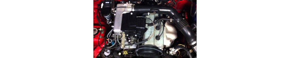 1,6 L4 8S 74CV (G16A)