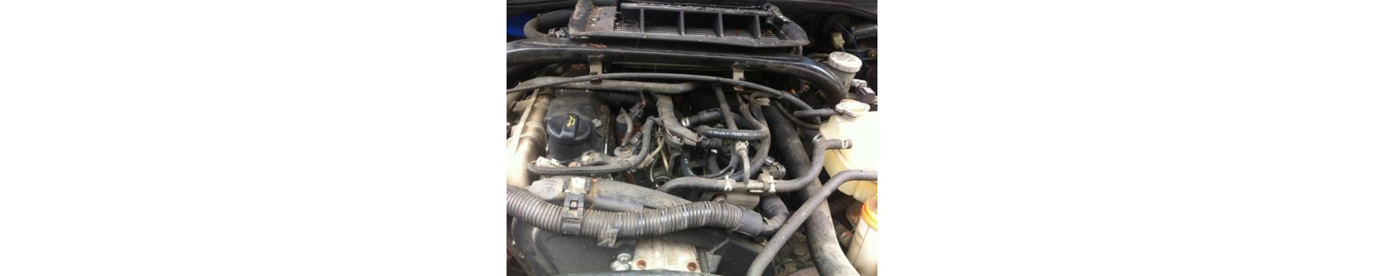 2,0 L4 HDi 110CV (RHZ)