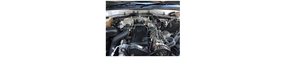 4,2 L6 TD 24S 166CV (1HD-FTE)