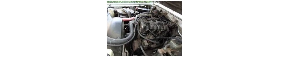 2,5 L4 TD (VM)
