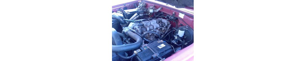 2,5 L5 TD (VM)