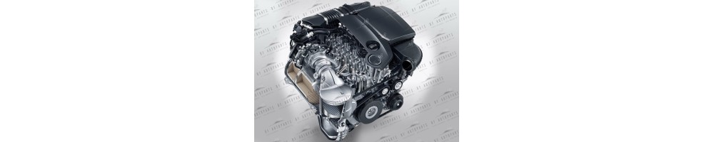 4,4 V8 INJ 320CV