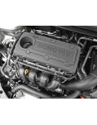 2,0 L4 16V DOHC 128CV (94-04)