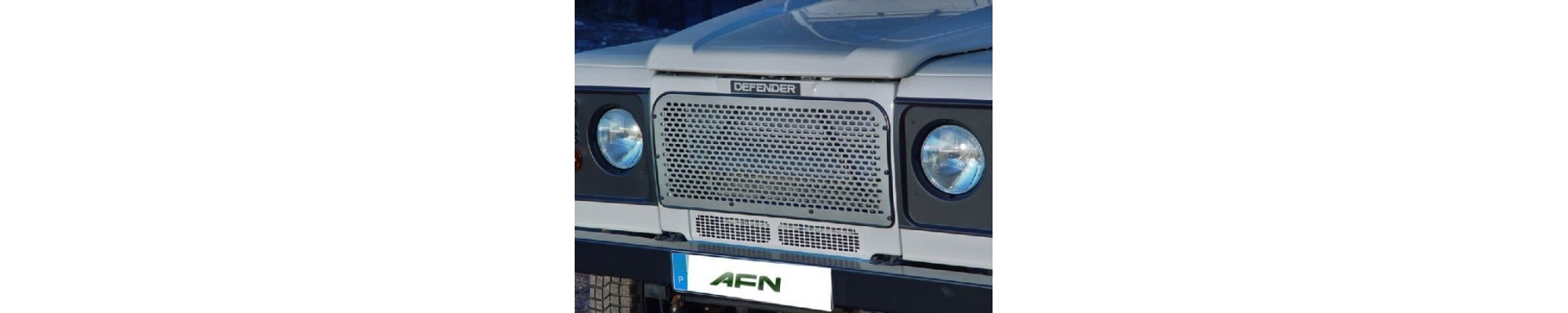 Grille de protection extérieure AFN