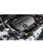 3,3 V6 24V 245CV (06-)