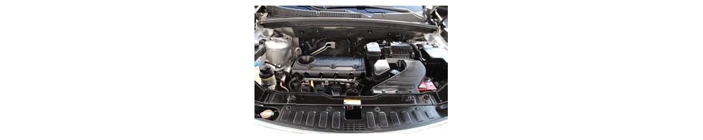 2,4 L4 16V CVVT 174CV (09-14)