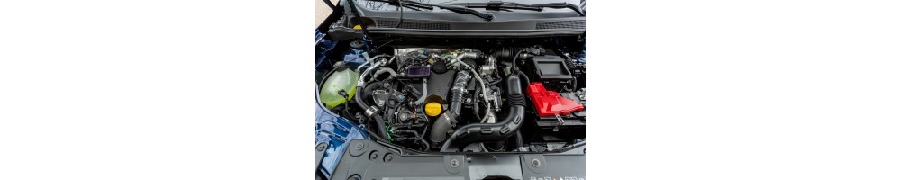 1,5 L4 Blue dCi FAP 95CV