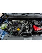 1,5 L4 Blue dCi FAP 95CV