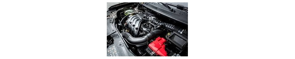 1,6 L4 SCe 115CV