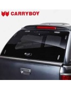 Hard Top CARRYBOY