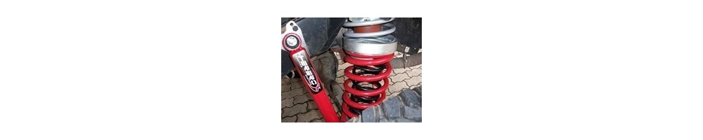 Suspension