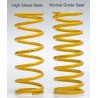 SUSPENSION KING SPRINGS