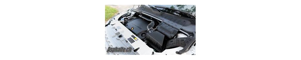 2,2 L4 SD4 Duratorq (Ford) 190CV