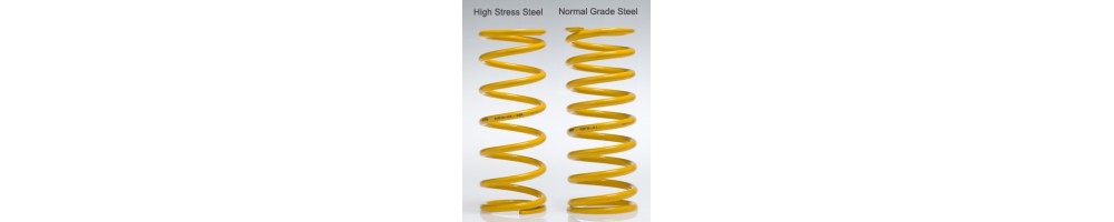 SUSPENSION KING SPRINGS