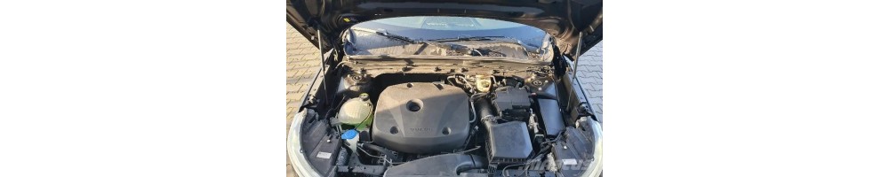 2,0 L4 T5 Turbo 16V 247CV
