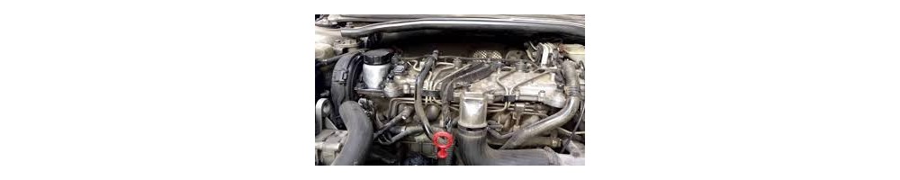2,0 L4 D5 Turbo 235CV