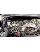2,0 L4 D5 Turbo 235CV