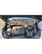 2,0 L4 T5 Turbo 16V 250CV