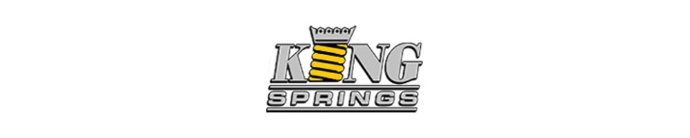 SUSPENSION KING SPRINGS