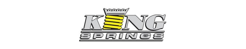 SUSPENSION KING SPRINGS