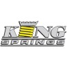 SUSPENSION KING SPRINGS