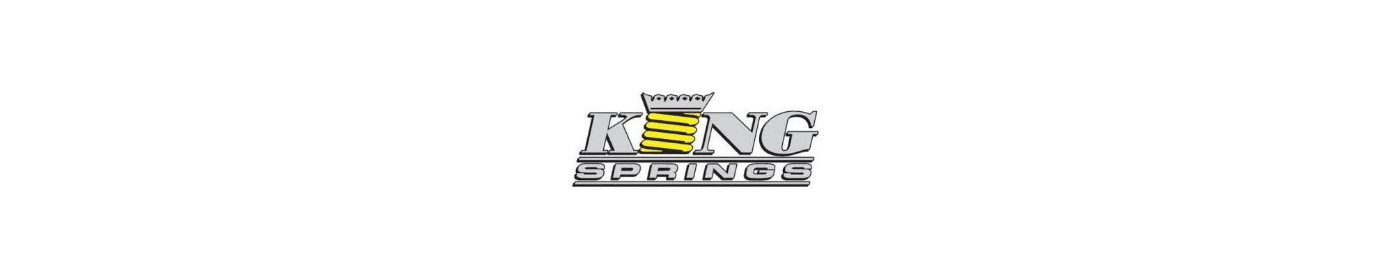 SUSPENSION KING SPRINGS