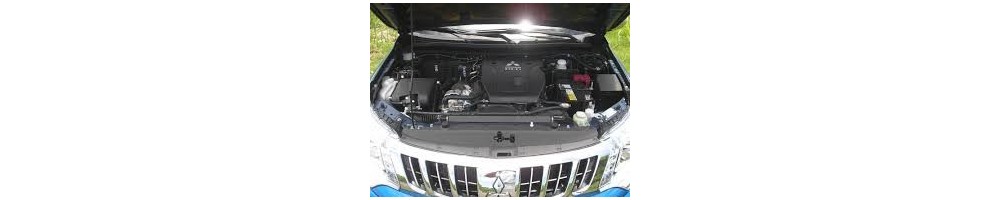 2.4 L4 DiD 181CV (4N15)