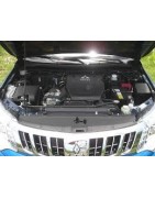 2.4 L4 DiD 181CV (4N15)
