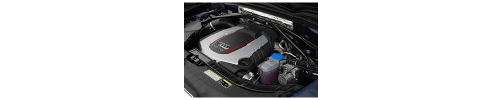 3,0 V6 Bi-TDi SQ5 313CV