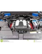 3,0 V6 TFSi SQ5 354CV