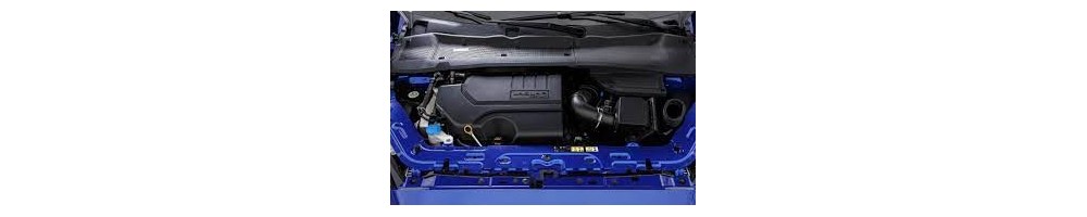 2,0 L4 Ti P300 300CV