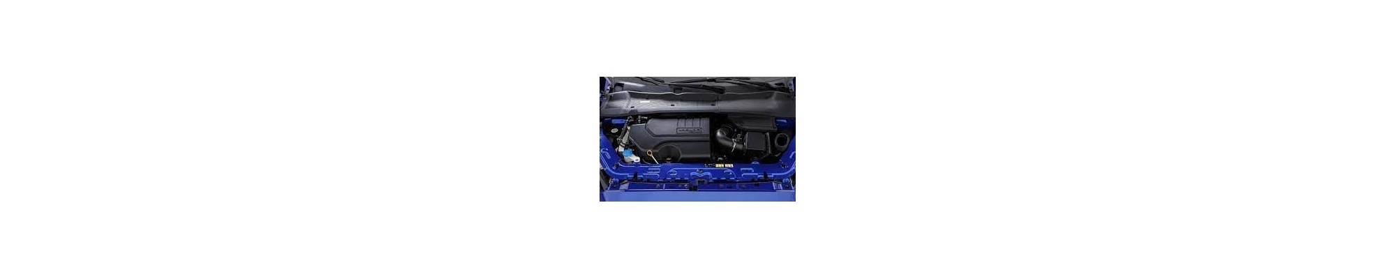 2,0 L4 Ti P300 300CV