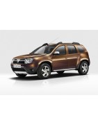 Duster 1 (10-17)