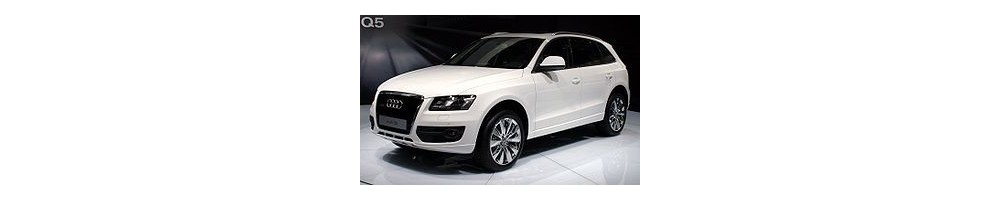 Q5 (08-17)