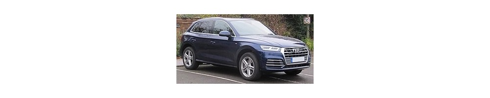 Q5 (17-)