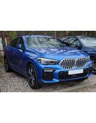 X6 (G06) (19-)