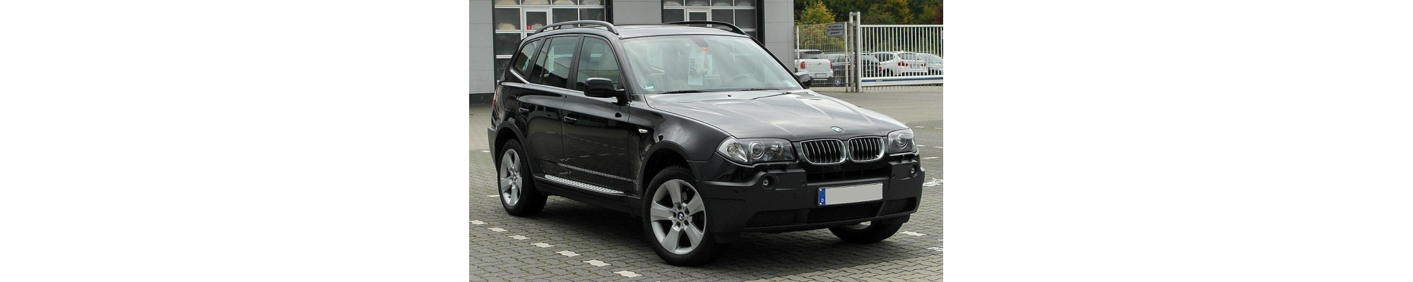 X3 (E83) (04-10)