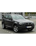 X3 (E83) (04-10)