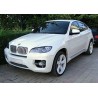 X6 (E71) (08-14)