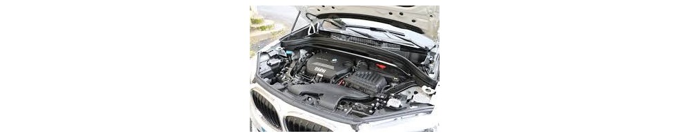 2,0 L4 TD 231CV (xDrive25d)