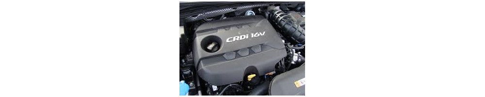 1,7 L4 CRDi 115CV