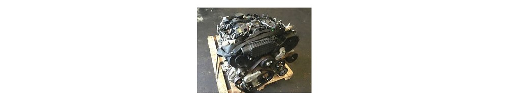 3.6 V8i TDV8 (Ford/PSA) 270CV
